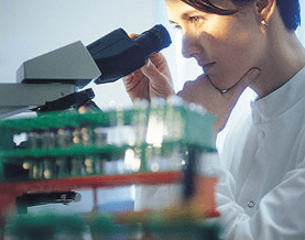MS Research